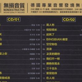 中文DJ歌曲抖音苏荷酒吧2CD专辑